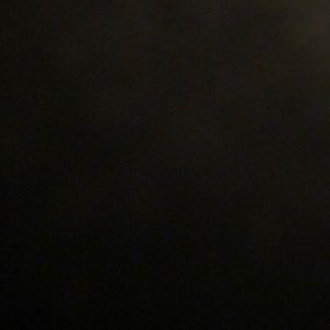 Meet your Posher, Coco